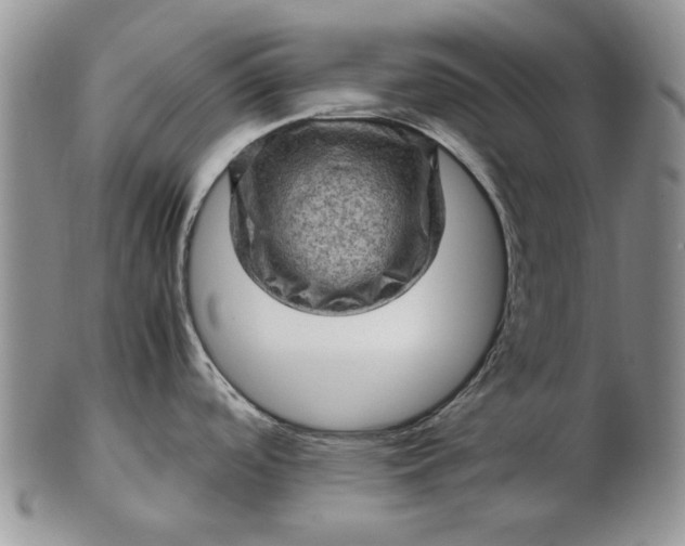 X0000103161488200809051648