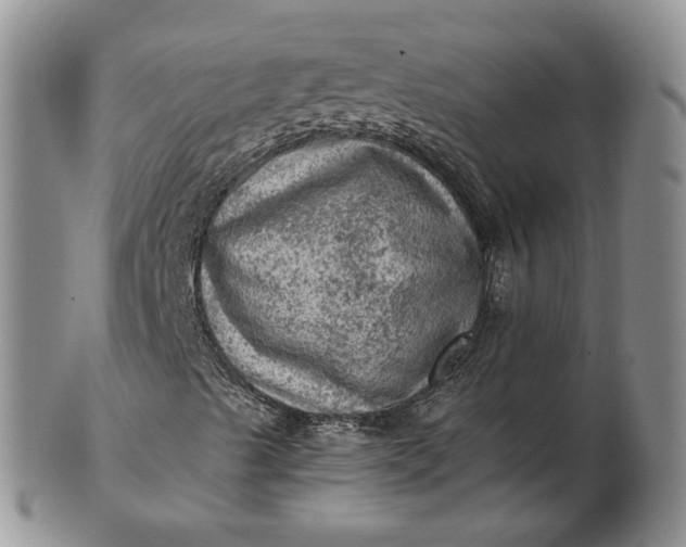 X0000103161489200809051648