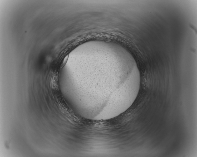 X0000103161490200809051648