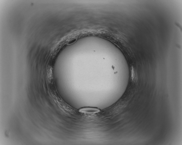 X0000103161492200809051648