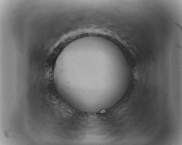 X0000103161495200809051648