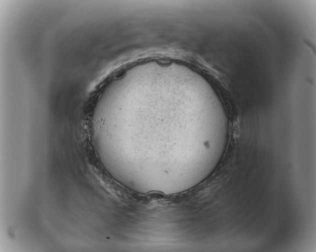 X0000103161496200809051648