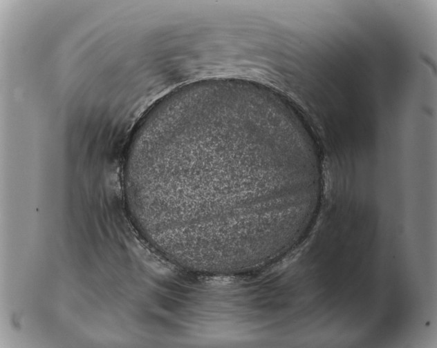 X0000103161497200809051648