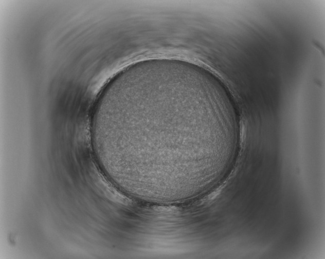 X0000103161498200809051648