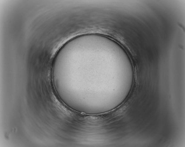 X0000103161500200809051648