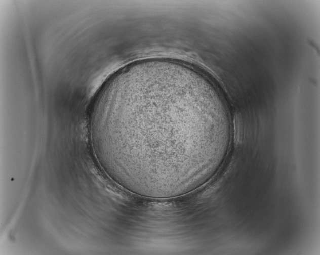 X0000103161501200809051648