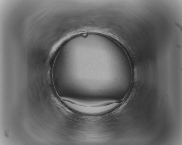 X0000103161502200809051648