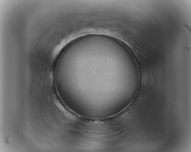 X0000103161503200809051648