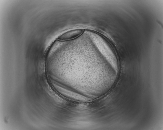 X0000103161504200809051648