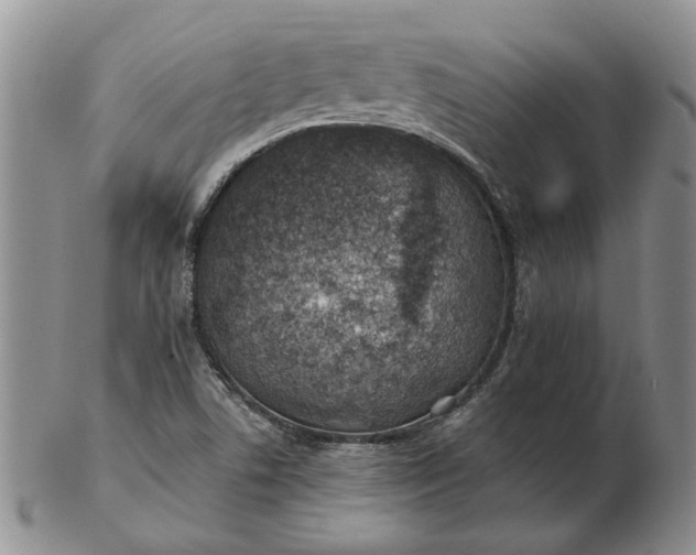 X0000103161506200809051648