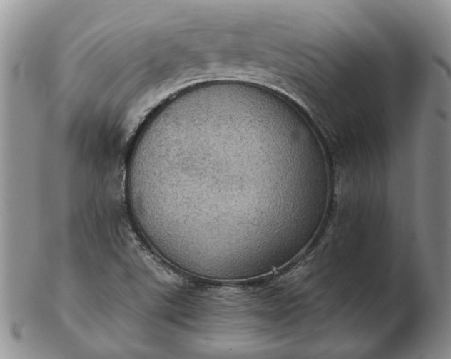 X0000103161507200809051648