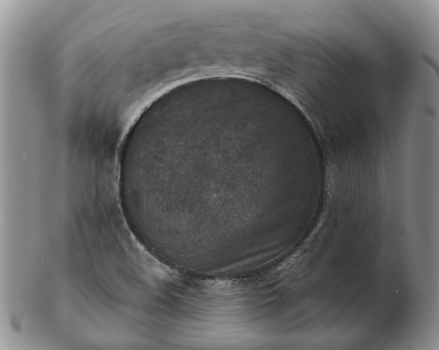 X0000103161508200809051648