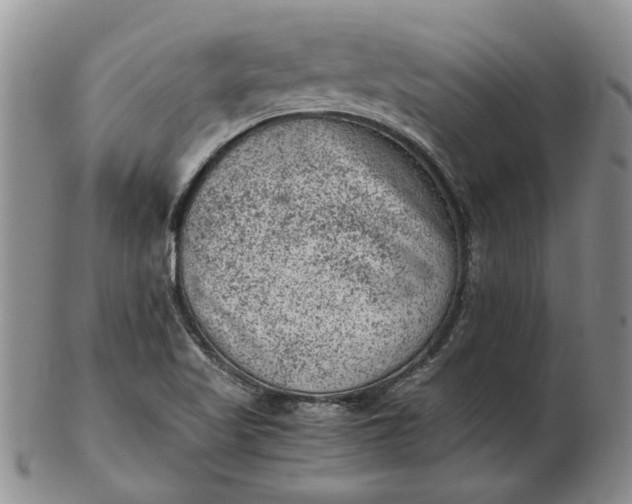 X0000103161509200809051648