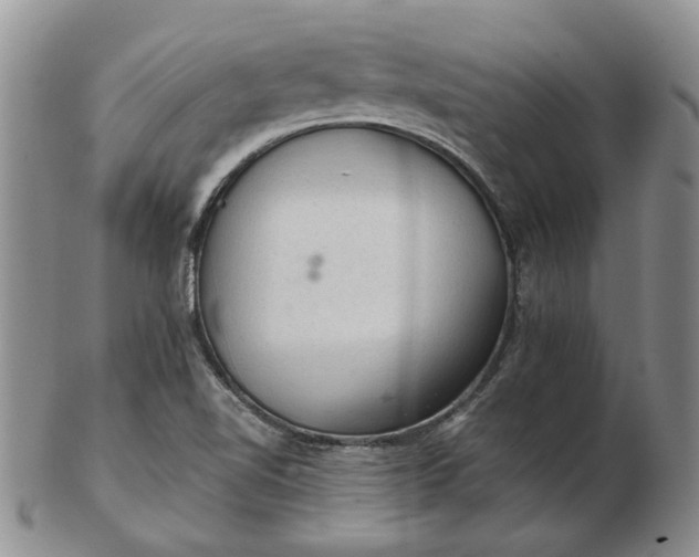 X0000103161510200809051648