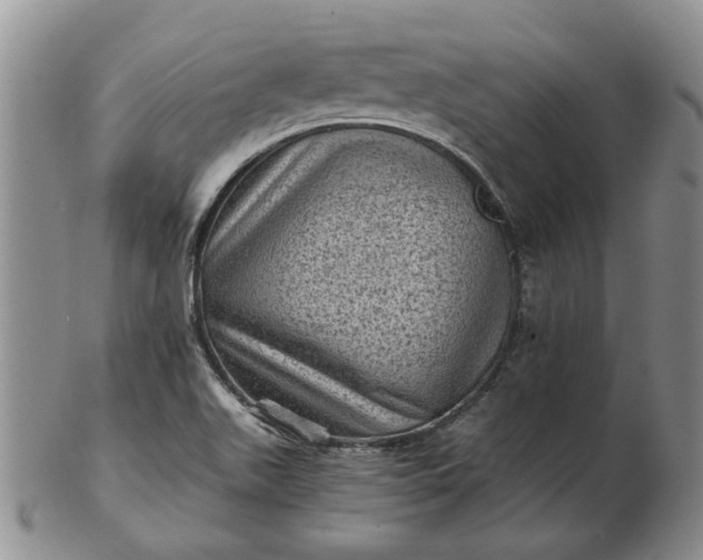 X0000103161511200809051648