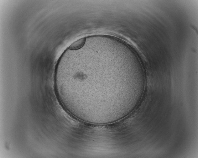 X0000103161512200809051648