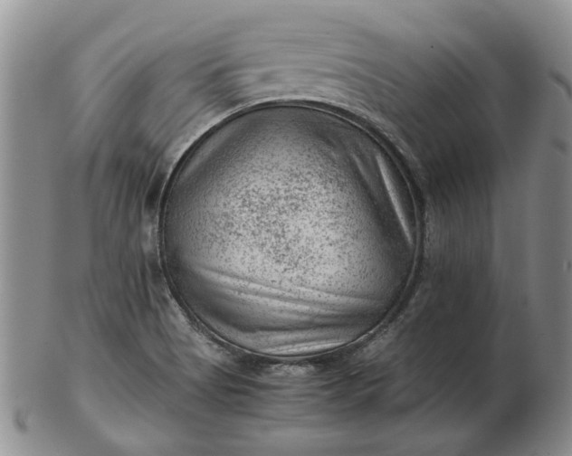 X0000103161513200809051648