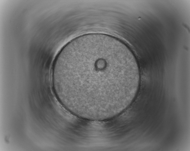 X0000103161514200809051648