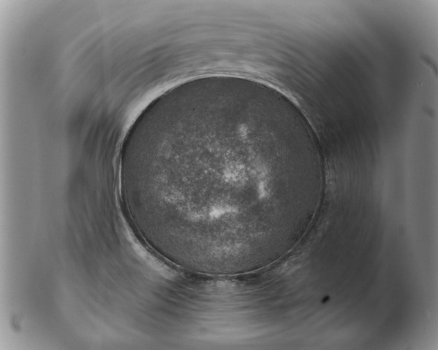 X0000103161515200809051648