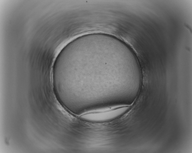 X0000103161516200809051648