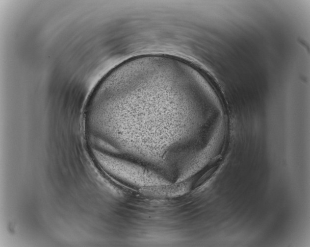 X0000103161517200809051648