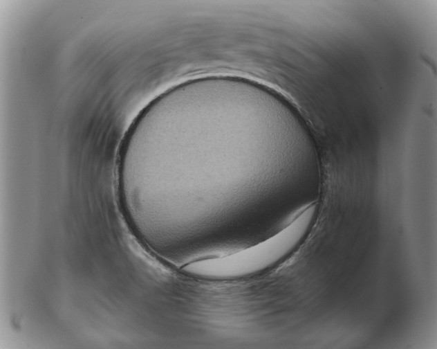 X0000103161518200809051648