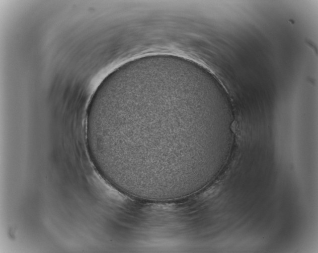 X0000103161519200809051648