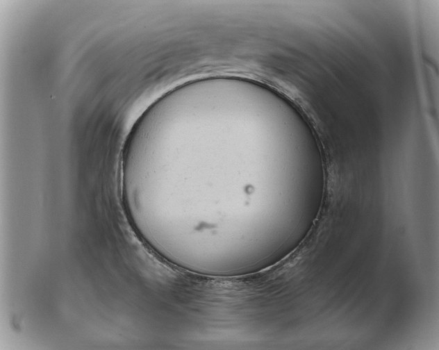 X0000103161520200809051648