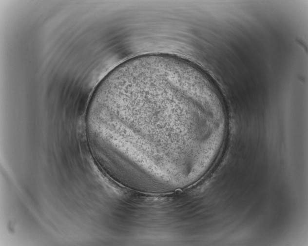 X0000103161521200809051648