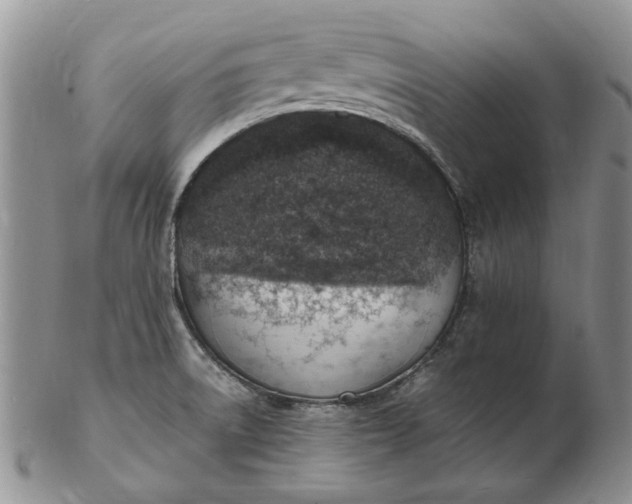 X0000103161522200809051648