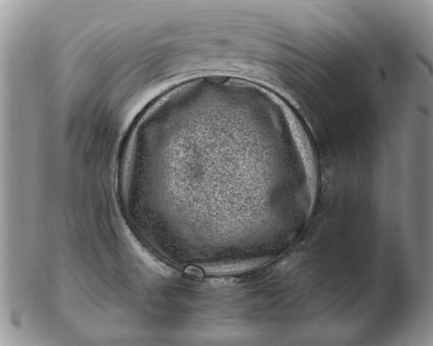 X0000103161523200809051648