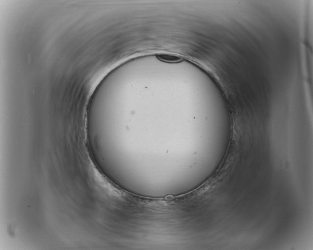 X0000103161524200809051648