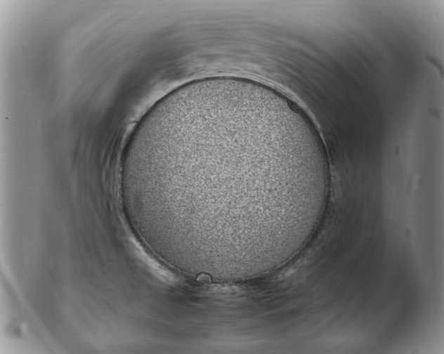 X0000103161525200809051648