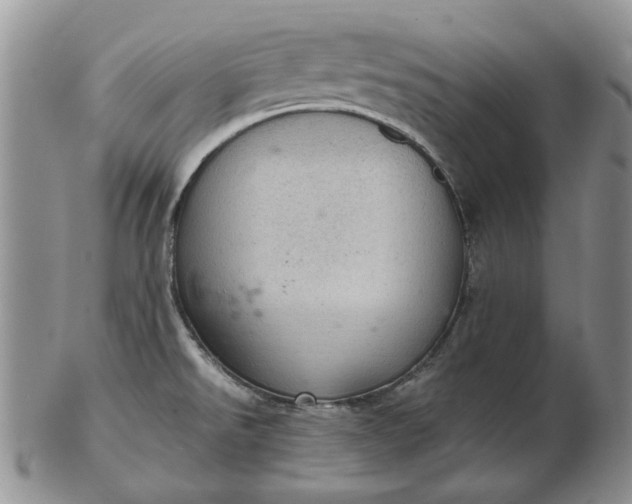 X0000103161526200809051648