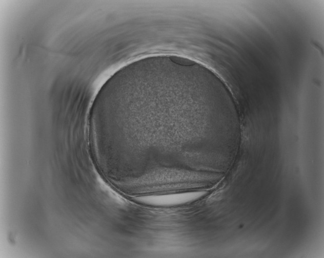 X0000103161527200809051648