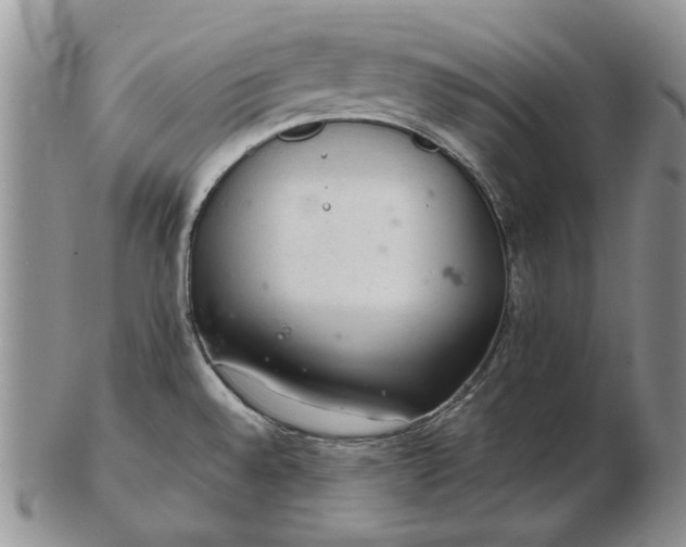 X0000103161528200809051648