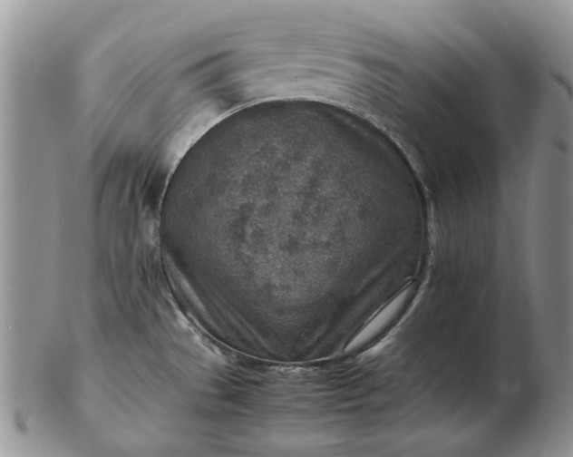 X0000103161529200809051648