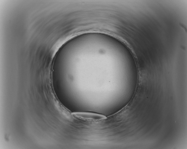 X0000103161530200809051648