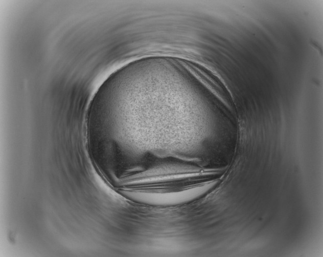 X0000103161531200809051648