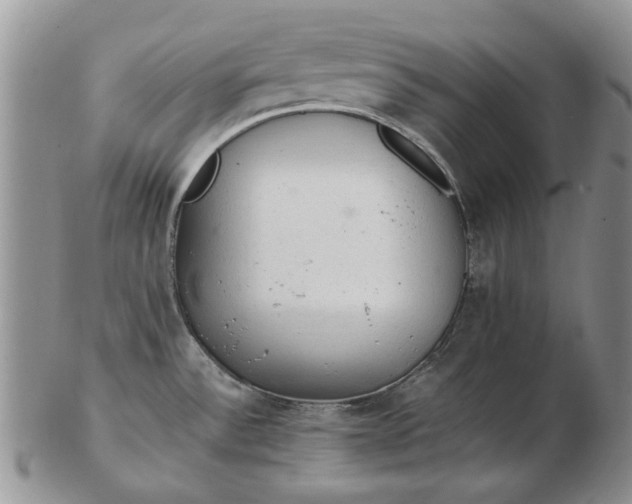 X0000103161532200809051648