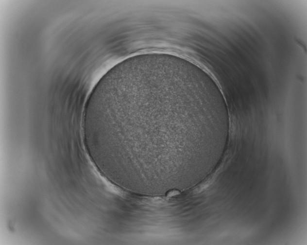 X0000103161533200809051648