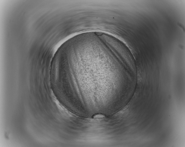 X0000103161534200809051648