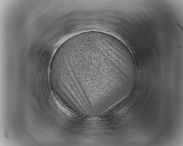 X0000103161535200809051648