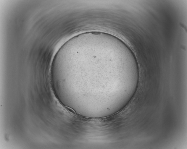 X0000103161536200809051648