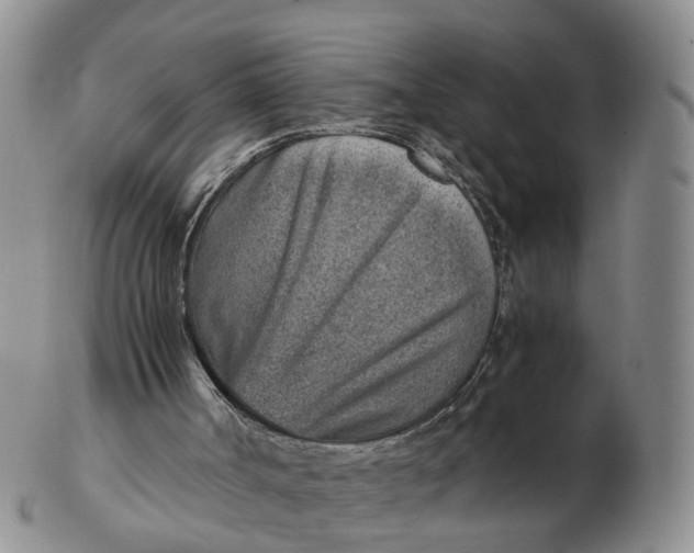 X0000103160002200809121848