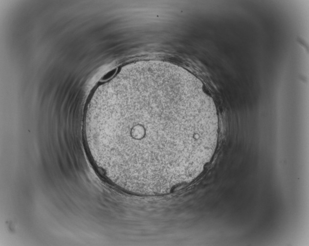 X0000103160003200809121848