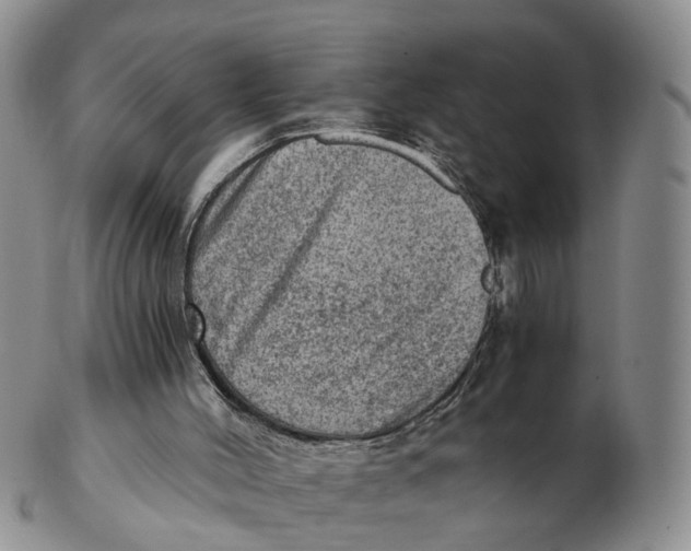 X0000103160004200809121848