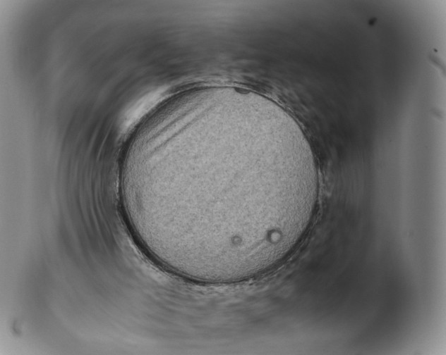 X0000103160005200809121848