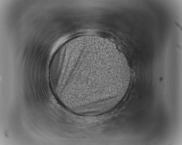 X0000103160006200809121848