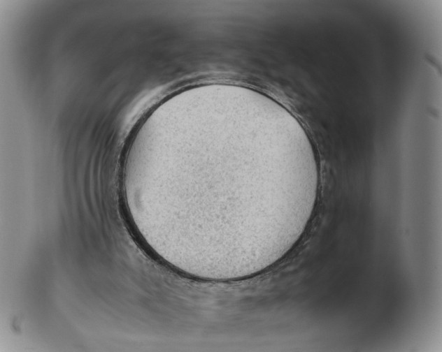 X0000103160007200809121848